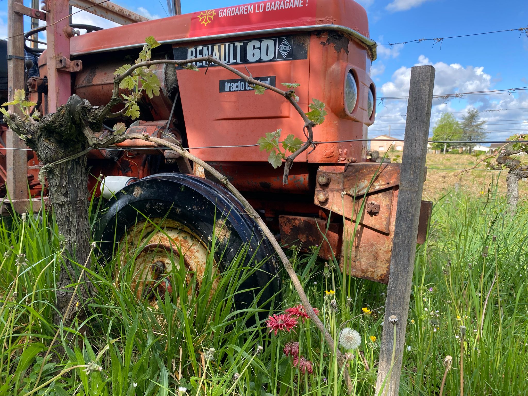 Tracteur dans le vignoble